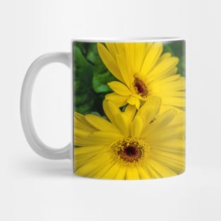 Yellow Gerbera Flowers Floral Plant Mug